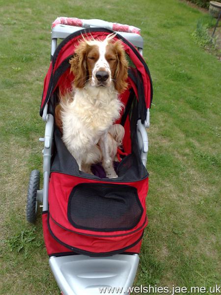2010-08-22 03.jpg - Look at me in my new stroller